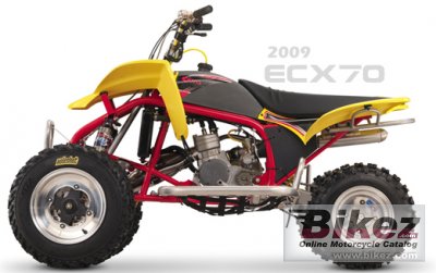 2010 Cobra ECX70 photo